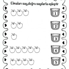 sayı eşleştirme  (41).jpg