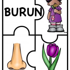 duyu organ puzzle çalışması   (5).JPG