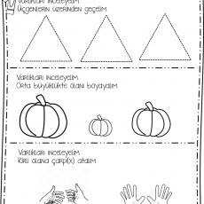 genel tekrar çalışmaları (5).JPG