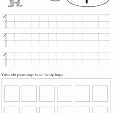 1 sayısı  (18)