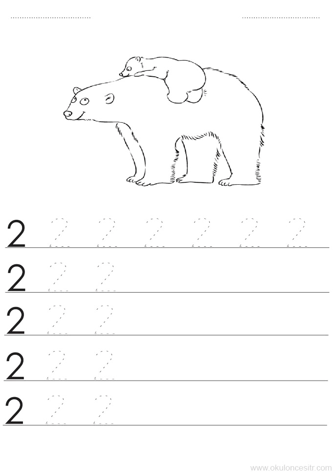 Polarbear Counting Practice: 2 (İki) with Interactive Tracing Lines