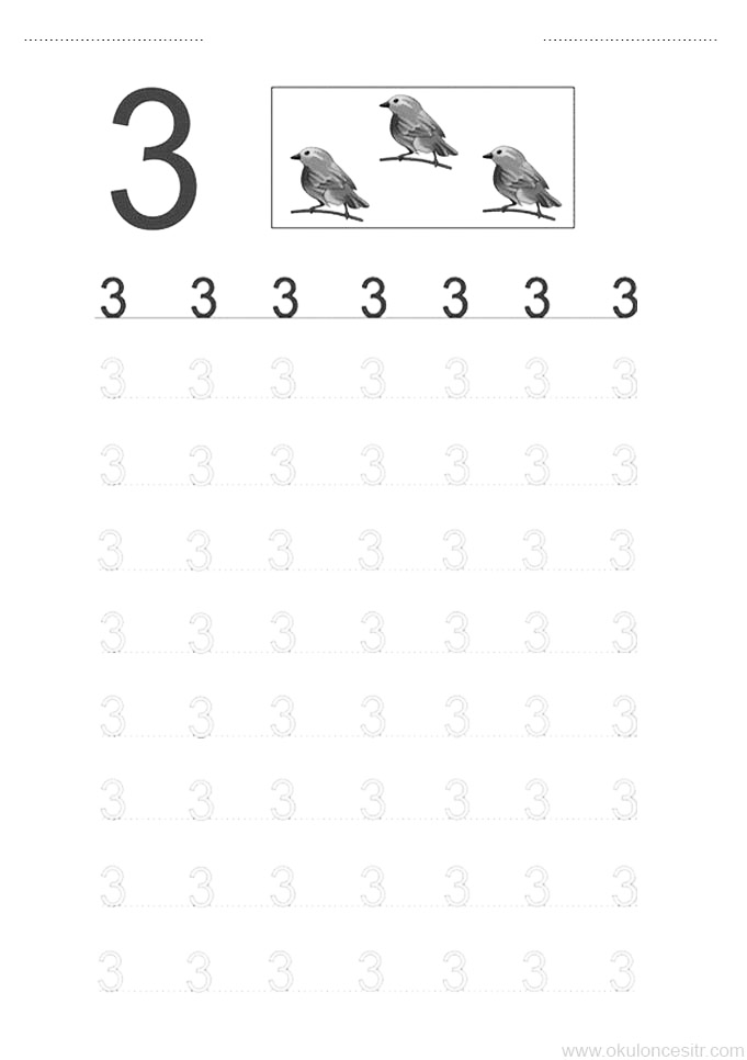 3 Sayısı ve Üç Kuş: Temel Matematik Öğrenimi