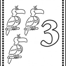 number_3_or_three_parrots.jpg