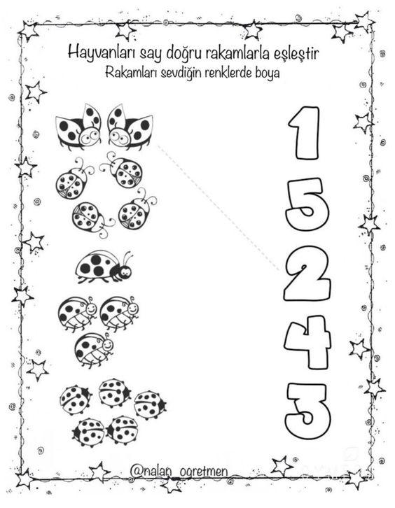 Hayvan Sayma Etkinliği: 1-5 Arası Rakam Eşleştirme ve Boyama