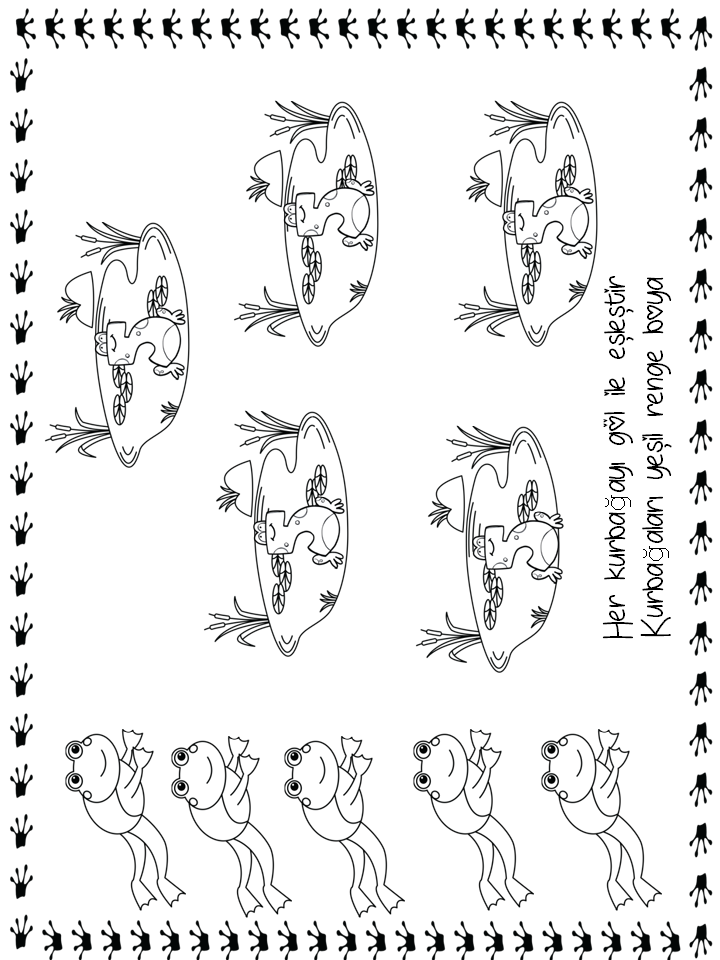 Frog Coloring Activity and Match Game: 6 Frogs, Color the 3 Ponds, Educational Art Exercise