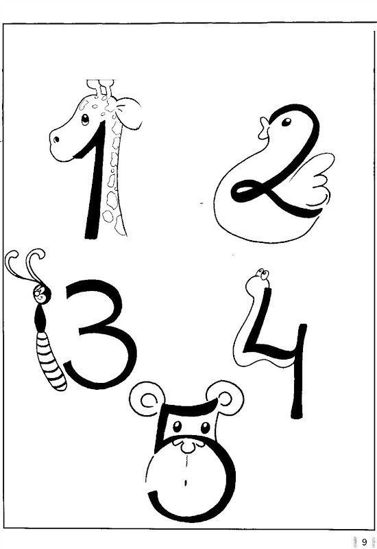 1- Giraffe, 2- Duck, 3- Insect, 4- Snake, 5- Bear: Educational Numeracy and Animal Identification