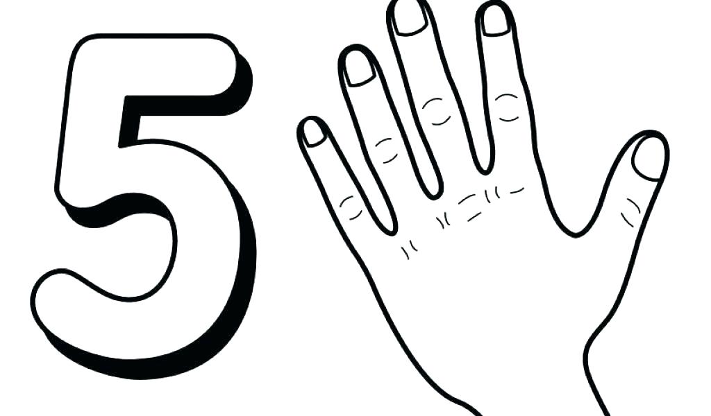 5_Rakamı_ve_Bir_Elin_Resmi