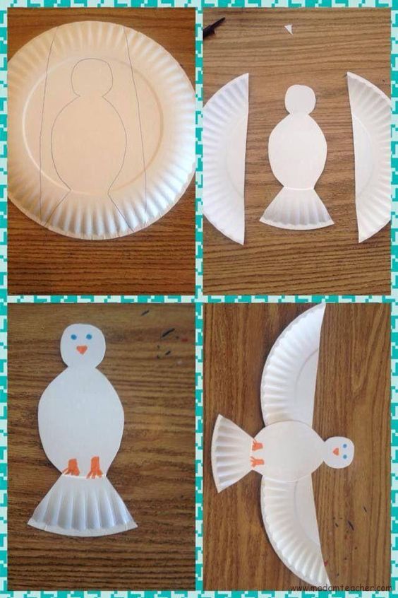Paper Plate Bird Craft Instructions with Steps and Visibility of 2 (İki) Parts