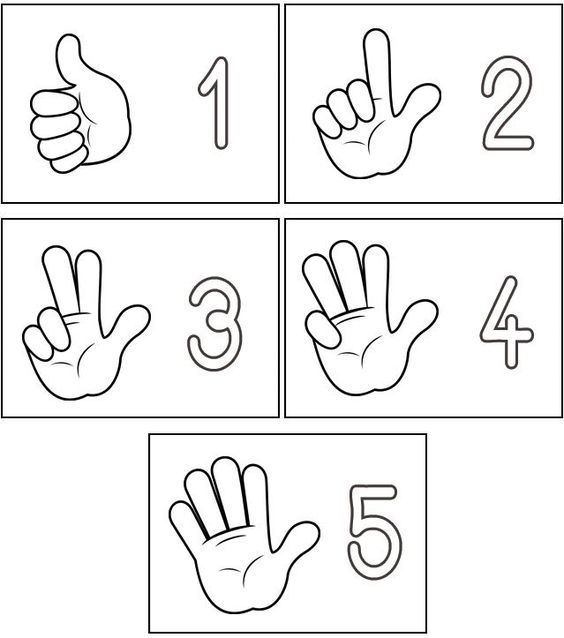 Eğitici Parmak Sayısı Kartları: 1 (Bir), 2 (İki), 3 (Üç), 4 (Dört), 5 (Beş)