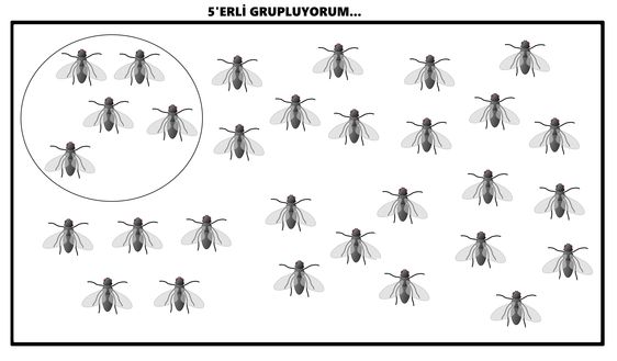 5'li Gruplama: İlkokul Matematik Etkinliği - Arı Görselleri