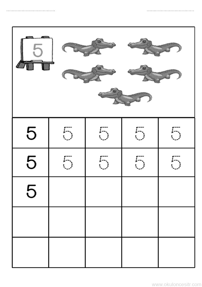 5 Aligator Sayma Çalışması