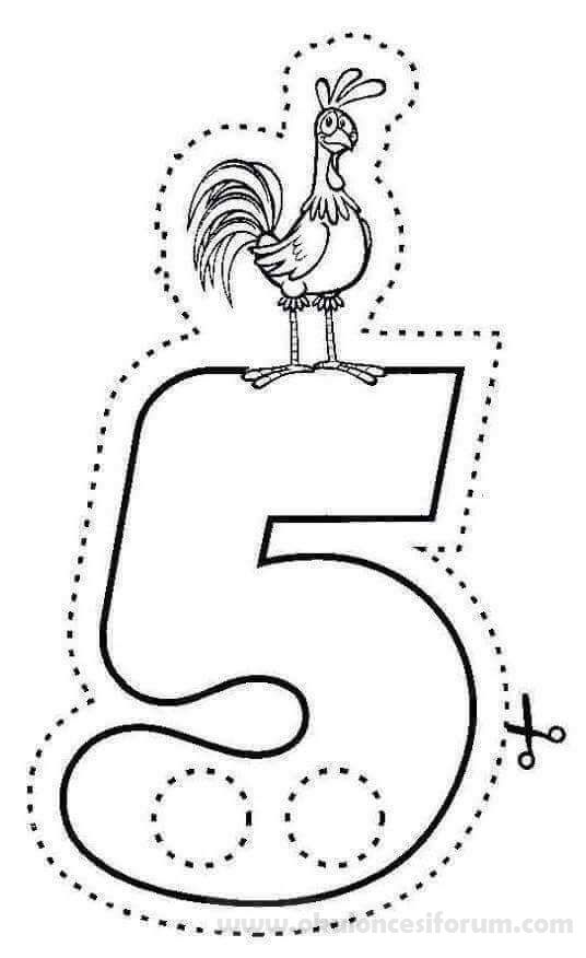 5 ve Tavuk: Sayı Eğitim Materyali