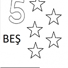 5 sayısı  (5)