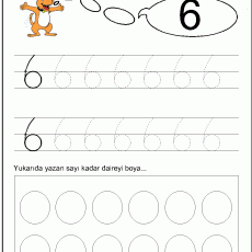 6 sayısı  (17)