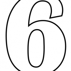 6 sayısı  (25)