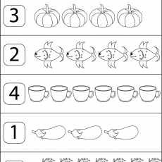 6 sayısı  (31)