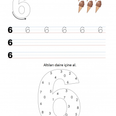 6 sayısı  (32)