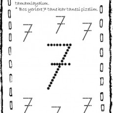 7 sayısı  (1).jpg