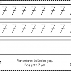 7 sayısı  (2)