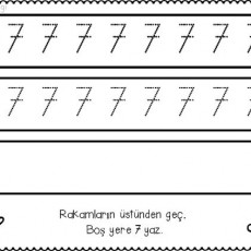 7 sayısı  (50).jpg