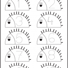 7 sayısı  (11)