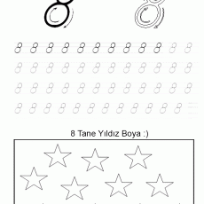 8 sayısı  (28)