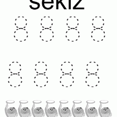 8 sayısı  (21)