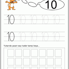 10 sayısı  (6)