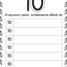 10 sayısı  (11)