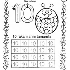 10 sayısı  (28).jpg