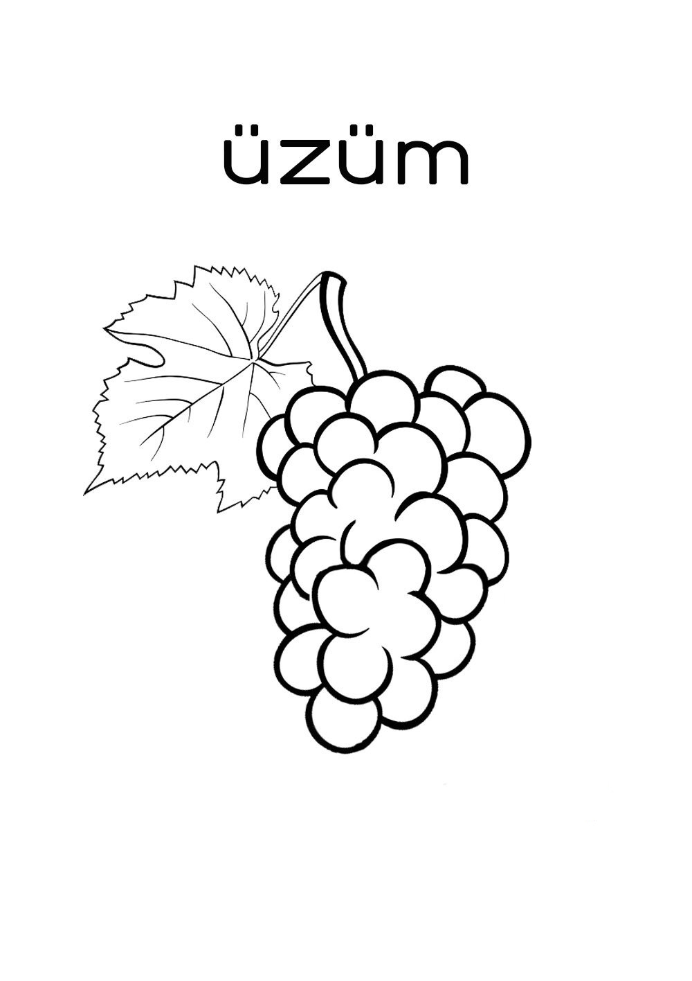 Üzüm - Eğitim İçeriği: Meyve ve Renkler