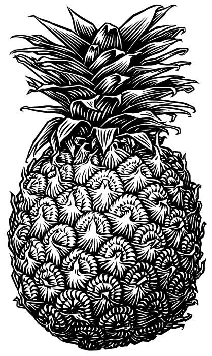 Ananas - Meyve Resmi İllüstrasyonu