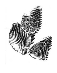 Limon Görseli: Kesilmiş ve Bütün Limonlar