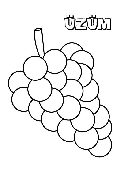 ÜZÜM - Eğitim Materyali ve Renkli Boyama Sayfası