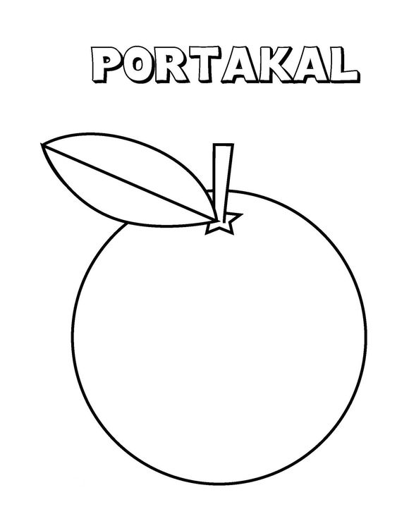 PORTAKAL - Portakal Meyvesi Çizimi ve Eğitimi