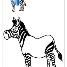 zebra-oyun-hamuru-matı.jpg