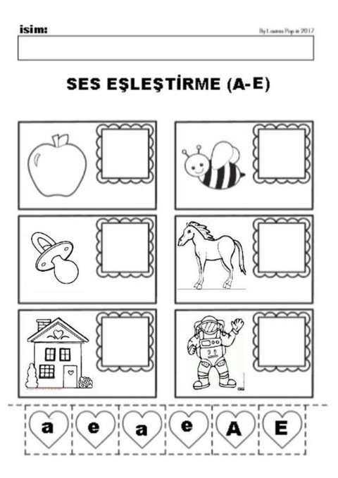 E sesi