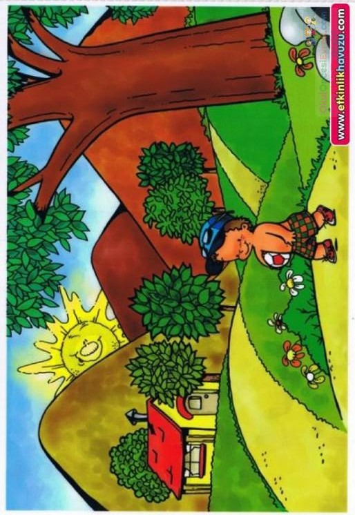 okul öncesinde geometrik,mevsim,renk, hava duygu grafikler  (131)
