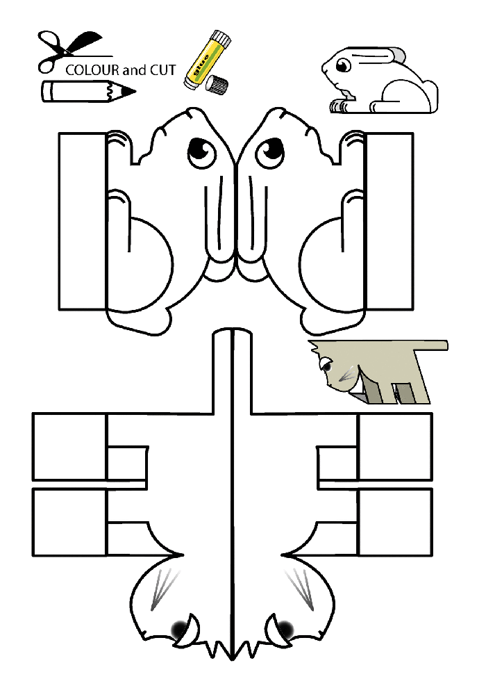 tavsankalibi-1506587408gk48n