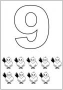 9 sayısı (1)