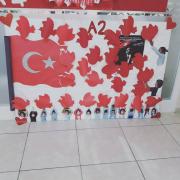 cumhuriyet haftası ve atatürk (25)