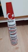 cumhuriyet haftası ve atatürk (44)
