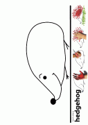 kirpikalibi-1506585810k8g4n