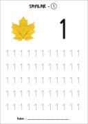 sayı çalışması (3)