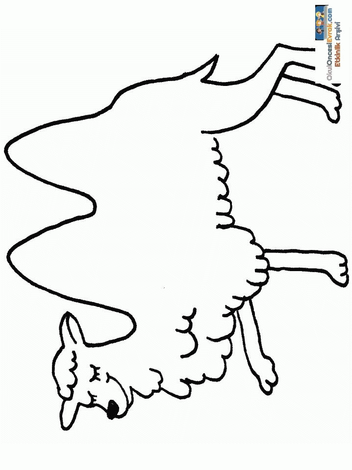 1 (11)