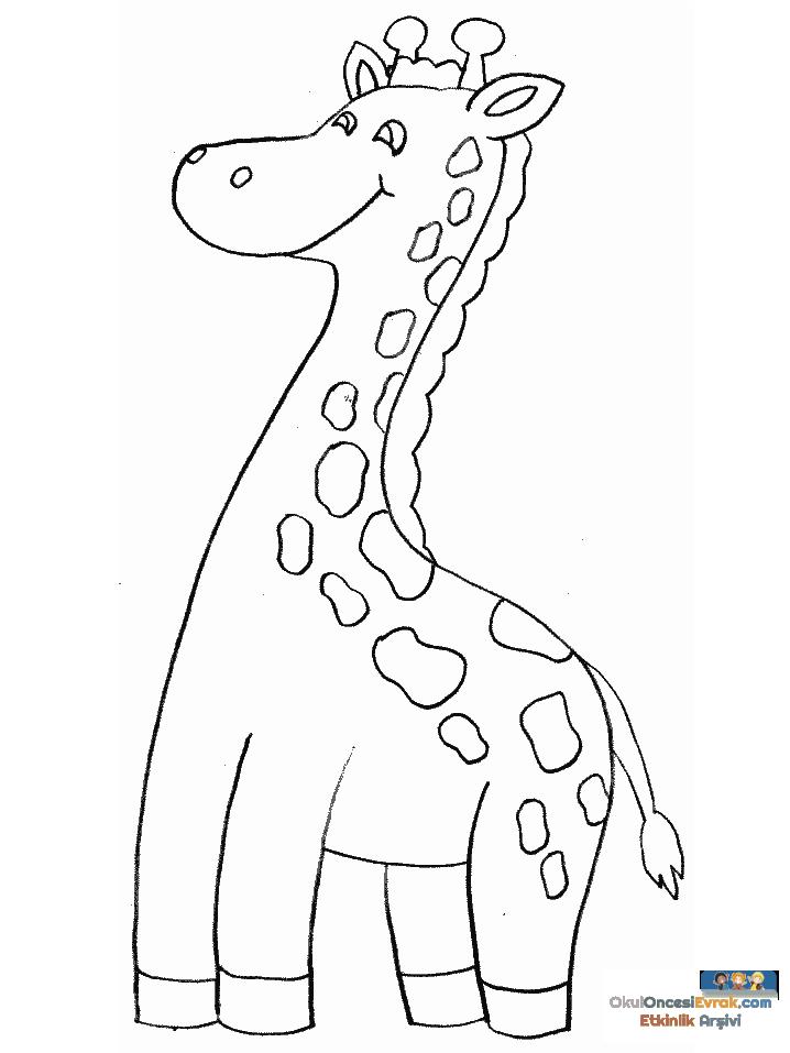 1 (115)