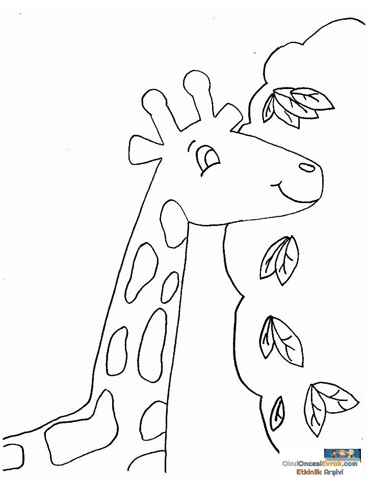 1 (116)