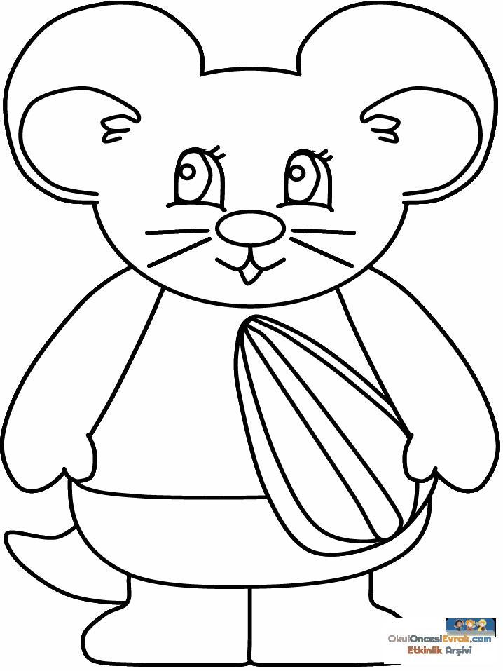 1 (120)
