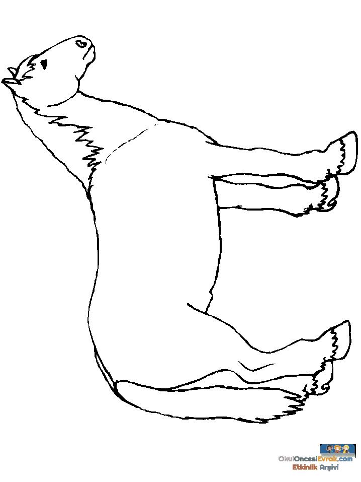 1 (127)