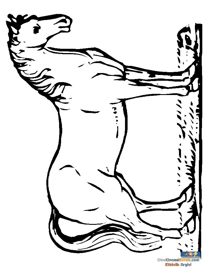 1 (128)